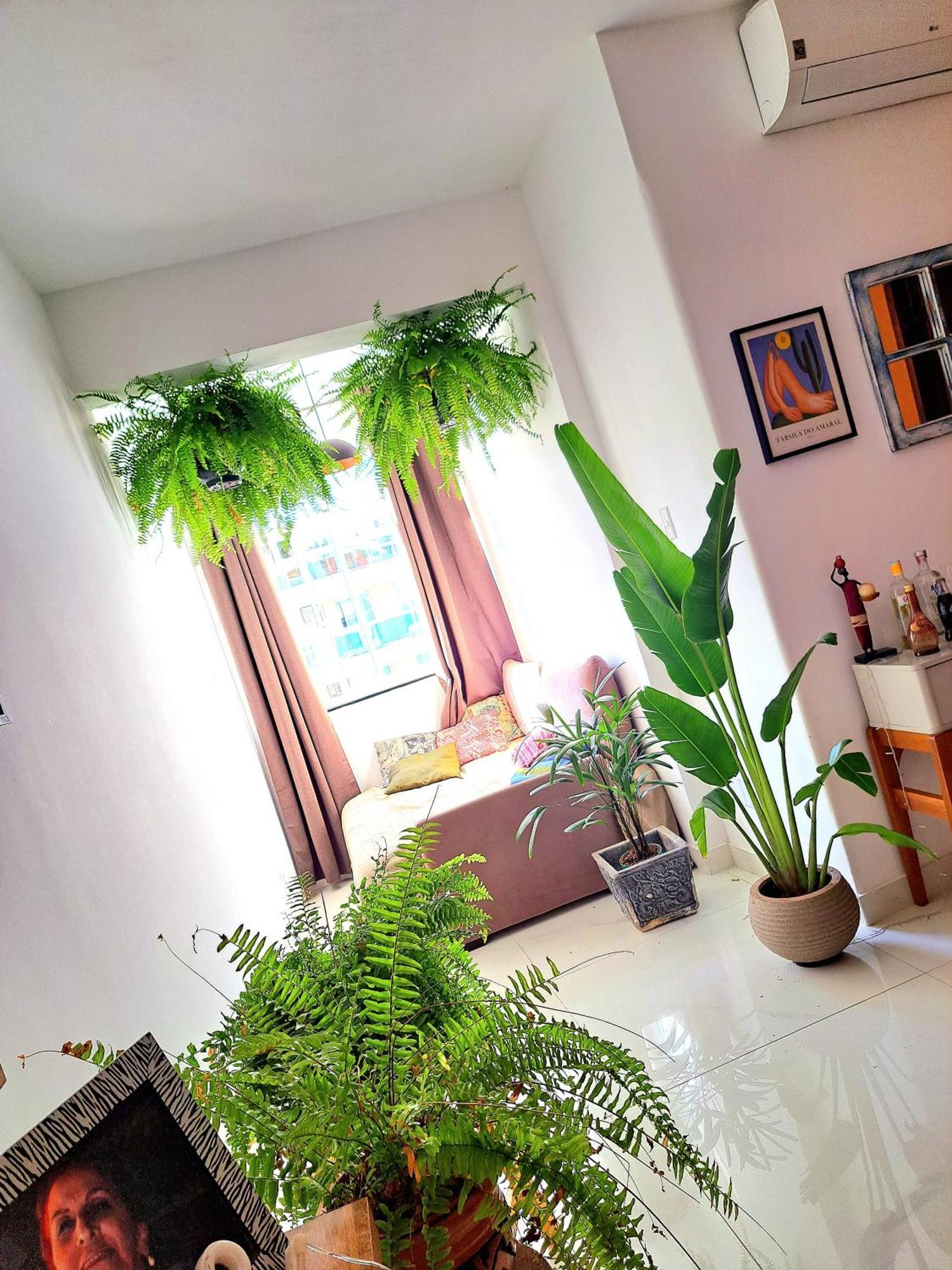 ריו דה ז'ניירו Quarto Com Anfitriao Rj מראה חיצוני תמונה